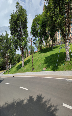 中国海花岛1#岛C区山体公园七米环路新增人行道园建工程