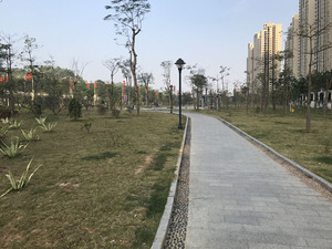 坪山高铁站周边提升工程